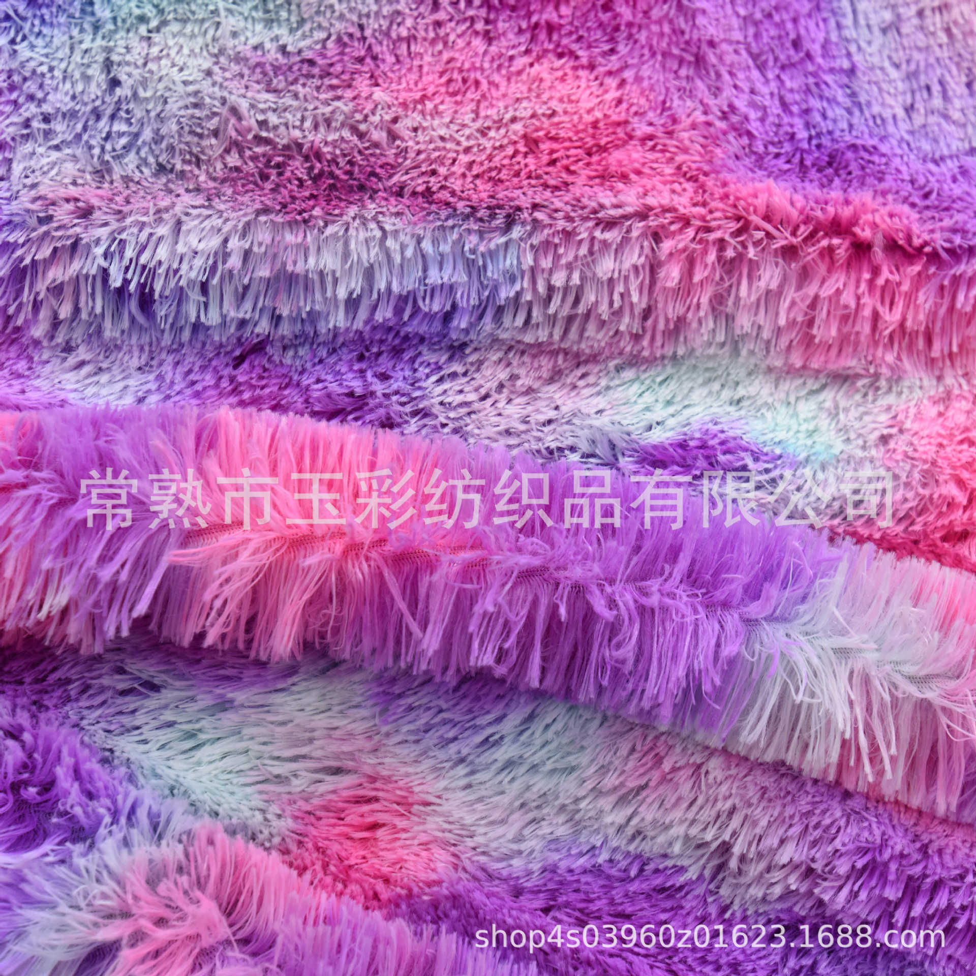 DSC_0884a