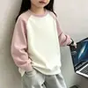Sudadera de color liso para niños, ropa infantil de manga larga para primavera y otoño, uniforme básico de jardín de infantes, stock del fabricante con posibilidad de impresión de diseños y logotipos