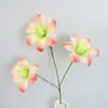 Novos Produtos Transfronteiriços, Flores Claras, Restaurantes de Casamento, Guias de Estrada de Hotéis, Paisagismo Floral Decorativo, Flores Artificiais, Estilo Jardim de Monet
