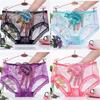 Calcinha Feminina Bordada Estilo Palácio Algodão Puro Renda Transparente Malha Bordada Sexy Tentação Cintura Média Calcinha Feminina