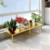 Estante de exhibición de flores para floristería, estante de almacenamiento ensanchado, soporte de bandeja de flores de encimera estrecha, soporte de girasol de pie ensanchado con patas altas y bajas