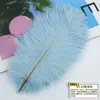 Ventas Directas de Fábrica Grandes Cantidades en Stock Plumas de Avestruz de 15-20cm Plumas para Arreglos Florales de Boda Accesorios para Actuaciones Escénicas
