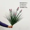 Manojo de hierba de la pampa verde con Yang 5 cañas de cresta de gallo plantas de paisajismo césped de patio césped biónico