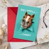 Compra directa transfronteriza de tarjetas de felicitación temáticas de caballos, peculiares y lindas, con agujeros, perfectas para deseos de cumpleaños, regalos creativos, mensajes escritos a mano y tarjetas navideñas