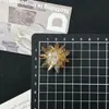Acessórios para Sapatos DIY Atacado: Contas de Cristal, Flores de Diamante, Contas Redondas Degradê para Decoração de Sapatos