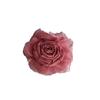 Pinza de agarre para flor seca rosa sentido de la atmósfera 2024 nuevo pinza para el pelo de alto sentido clip de tiburón para la parte trasera de la cabeza tocado de puesto