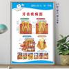 Pintura Pendurada para Clínica Odontológica Cartaz de Publicidade para Clínica Odontológica Quadro de Parede Pintura de Decoração de Parede para Estomatologia Mural de Dentes de Alta Qualidade