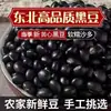Nueva cosecha de agricultores en Heilongjiang, Noreste de China: Frijoles negros de núcleo amarillo cultivados en casa para hacer leche de soya, disponibles en varios tamaños, adecuados para uso durante todo el año