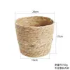 Atmósfera de Exhibición con Temática de Limón de Verano en la Entrada de la Pastelería, Tienda de Decoración Estilo Pastoral con Ratán de Limón