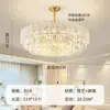 Luminária de teto elegante em estilo luxo leve francês, 6 novos modelos para luz principal da sala de estar, quarto, sala de jantar e escritório, luminárias de ferro Zhongshan