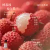 Líquido de Relleno de Aceite Esencial de Plantas de Aromaterapia de 15 ml para Difusor de Piedra de Yeso, Adornos Aromáticos, Especializado para Uso en Interiores, Fragancia de Alta Gama y Larga Duración