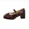 Zapatos poco profundos Mary Jane de encaje con punta cuadrada de diseño único para mujer, moda otoño 2026 estilo francés tacón grueso zapatos de piel