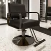 Cadeira de barbeiro salão de cabeleireiro banqueta para corte de cabelo salão de beleza área de permanente e coloração assento elevatório cadeira de salão de beleza