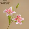 Flor de Lirio Artificial de Doble Cabeza Impresa en 3D Fabricante Flores Falsas Plantas Verdes Venta al por Mayor Decoración de Bodas Ins Artesanías Transfronterizas