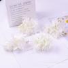 Conjunto de flores de simulação branca Rose Peônia Flor falsa Flor de seda Headwear Hairpin Flower Pain Bag Decoração