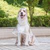 Impermeable para Mascotas Senwan Amazon Perro Grande Transparente Salida Perro Grande Impermeable para Perros Border Collie Ropa para Perros Mayoreo