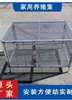 Gaiola para Pombos, Gaiola para Coelhos, Gaiola para Patos, Fabricante Direto de Gaiolas para Doninhas, Montagem de Gaiola para Gansos, Gaiola Criptografada Anti-Cobra e Anti-Galinha, Ração em Pó, Metabo