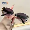 Óculos de Sol Estilo Gatinho Retrô Spice Girls Europeus e Americanos Sensação Avançada Finos Distintivos Óculos de Sol de Metal Estilo Celeiro Óculos Batata Doce Masculinos