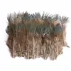 80 Tipos de Penas Naturais de Faisão, Penas Reais, Decorações Nativas Americanas, Acessórios DIY, Acessórios de Cabelo, Peças para Brinquedo de Vara para Gato