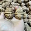 Nueces Decorativas de Cáscara Verde en Stock, Nueces Silvestres Cabeza de Sapo, Nueces Frescas de Cáscara Verde Recién Recolectadas, Venta al por Mayor de Fabricantes de Nueces
