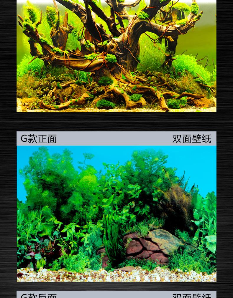 鱼缸壁画_新详情_11