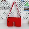 Bolsa de Tostada de Nicho 2025 Nueva Moda Deportes Fitness Bolsa Pequeña Almohada Casual Correa Ancha para el Hombro Bolso de Hombro Único Cruzado para Mujer