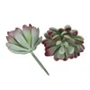 Mini Planta Suculenta Artificial Única Suculenta Falsa Flor Artificial Adorno de Micro Paisaje Oficina Planta Verde Real Artificial Alto