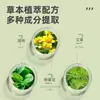 Hisopos de Algodón Florales Desechables Set de Hisopos de Algodón con Aceite Esencial para Mejorar Picaduras de Insectos, Aliviar la Picazón, Enfriar, Refrescar, Portátil