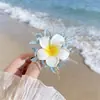 Presilhas de Cabelo Série Oceano com Flores Preservadas, Estrelas-do-Mar, Conchas e Frutas para Viagens à Beira-Mar e Fotos de Férias