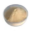 Polvo de Ciruela Ácida de Fábrica, Polvo de Ciruela Verde, Polvo de Ciruela Negra, Ingredientes Solubles en Agua de Grado Alimenticio para Horneado y Bebidas, Extracto de Ciruela en Stock
