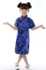 Cheongsam de Ciruela y Bambú para Niños de Verano 2001-3 Traje Tang para Niñas Vestido de Princesa Estilo Étnico Niña Ropa de Presentación Guzheng para Niños Grandes