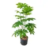 Vendas Diretas de Fábrica Plantas Verdes Simuladas, Jiboia, Costela-de-Adão, Folhas de Borracha, Decoração de Sala de Estar, Árvores Falsas, Bonsai, Plantas em Vasos para Paisagismo