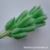 Rabo de Conejo Seco Flor Seca Ramo Flor Real Flor Inmortal Hierba de Cola de Perro Decoración del Hogar Materia Prima Fábrica Disparo Accesorios