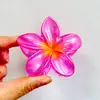 Grampo de Cabelo Flor de Frangipani Gradiente para Mulheres, Pente para Parte de Trás da Cabeça, Grampo de Cabelo Estilo Férias Praia Litoral