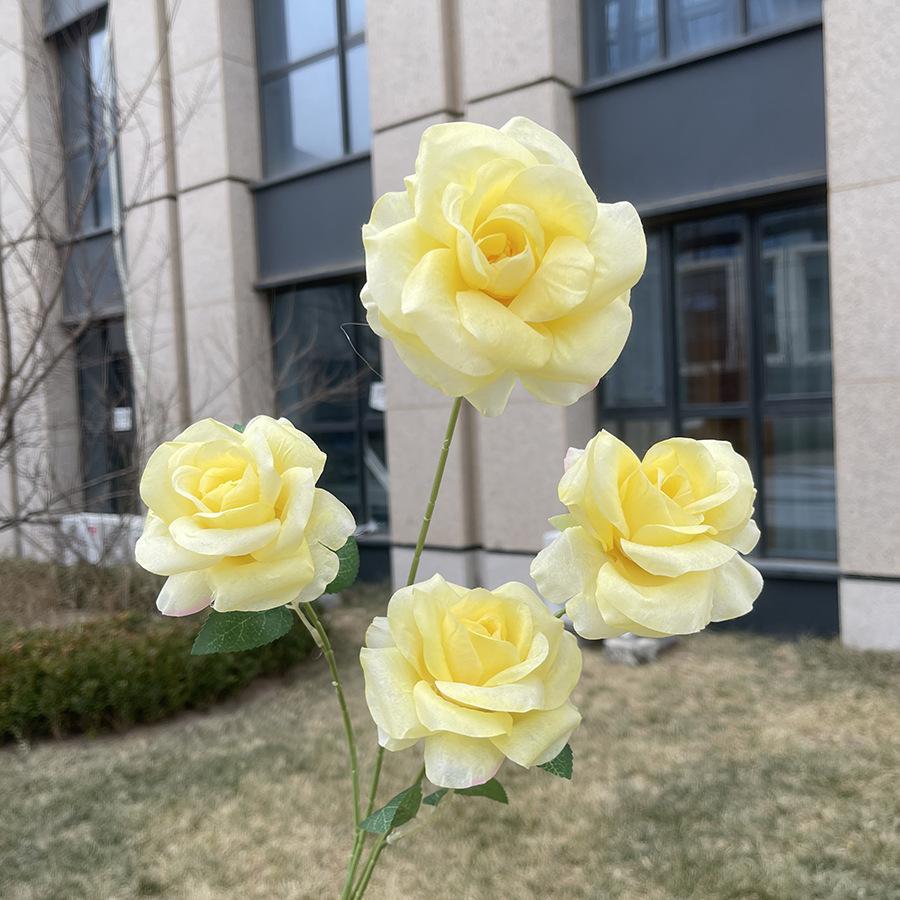 4头如意雅致玫瑰-wxlsx-黄色.JPG
