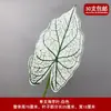 Hoja Verde Material de Boda Flor Artificial Eucalipto Rosa Flor Artificial Decoración de Boda Planta Verde Colgante Guía de Camino Arreglo Floral