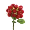 Fruta Simulada, Frambuesa, Frambuesa, Fruta de la Fortuna, Fruta Roja Pequeña, Exhibición para el Hogar, Fruta Silvestre del Bosque, Sesión de Fotos de Picnic de Primavera