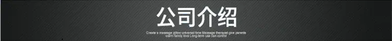 公司介绍1