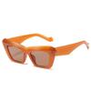 2021 Nuevo estilo de gafas de sol para mujer Moda Internet Celebridad Mismo estilo Gafas de sol de ojo de gato para mujer Gafas de sol de moda para exteriores