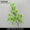 Plantas Verdes, Hierba de Junco, Hierba Bigote de Dragón, Fondo de Boda, Paisajismo de Ventana Floral, Flores Decorativas para Boda en Bosque Blanco y Verde