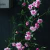 Enredaderas de Rosas Artificiales, Enredaderas de Rosas Trepadoras, Enredaderas para Colgar en la Pared, Decoración de Ventanas, Decoración del Hogar, Pantalla de Privacidad, Enredaderas de Flores con Aroma a Madera, Plantas Verdes