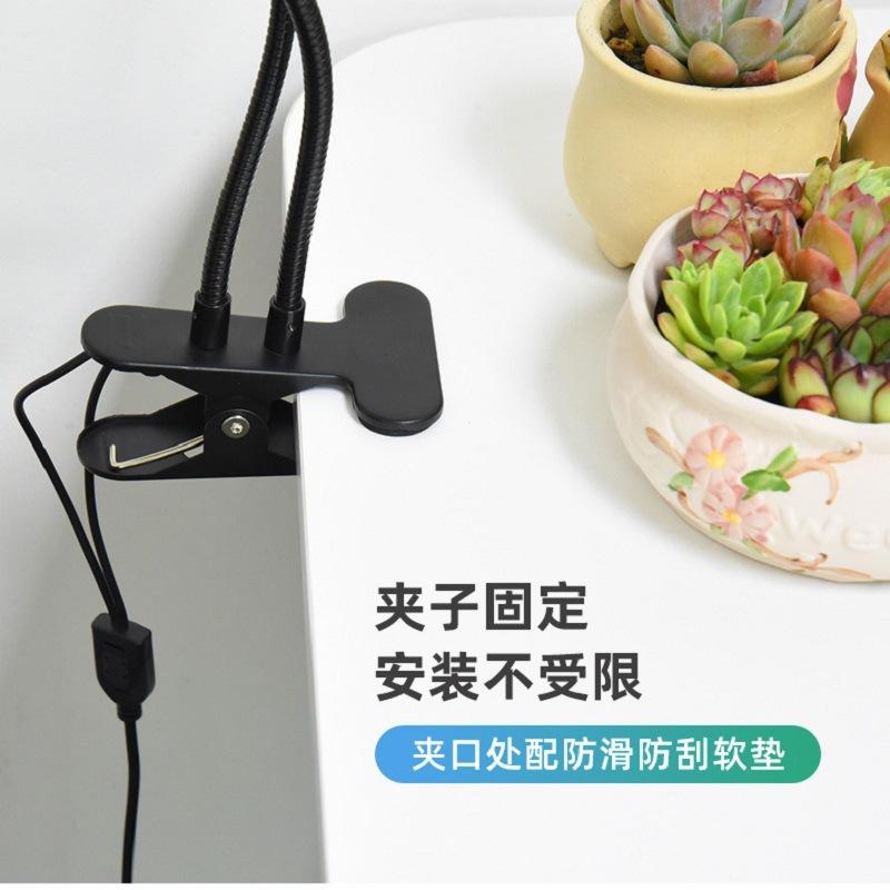 夹子