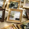 Marco de fotos magnético creativo para plantas de aire, marco de fotos retro para escritorio, pared interior, forma cuadrada, 5 pulgadas