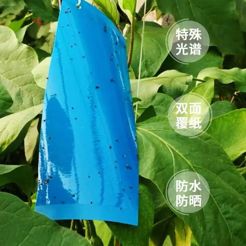 蓝板16