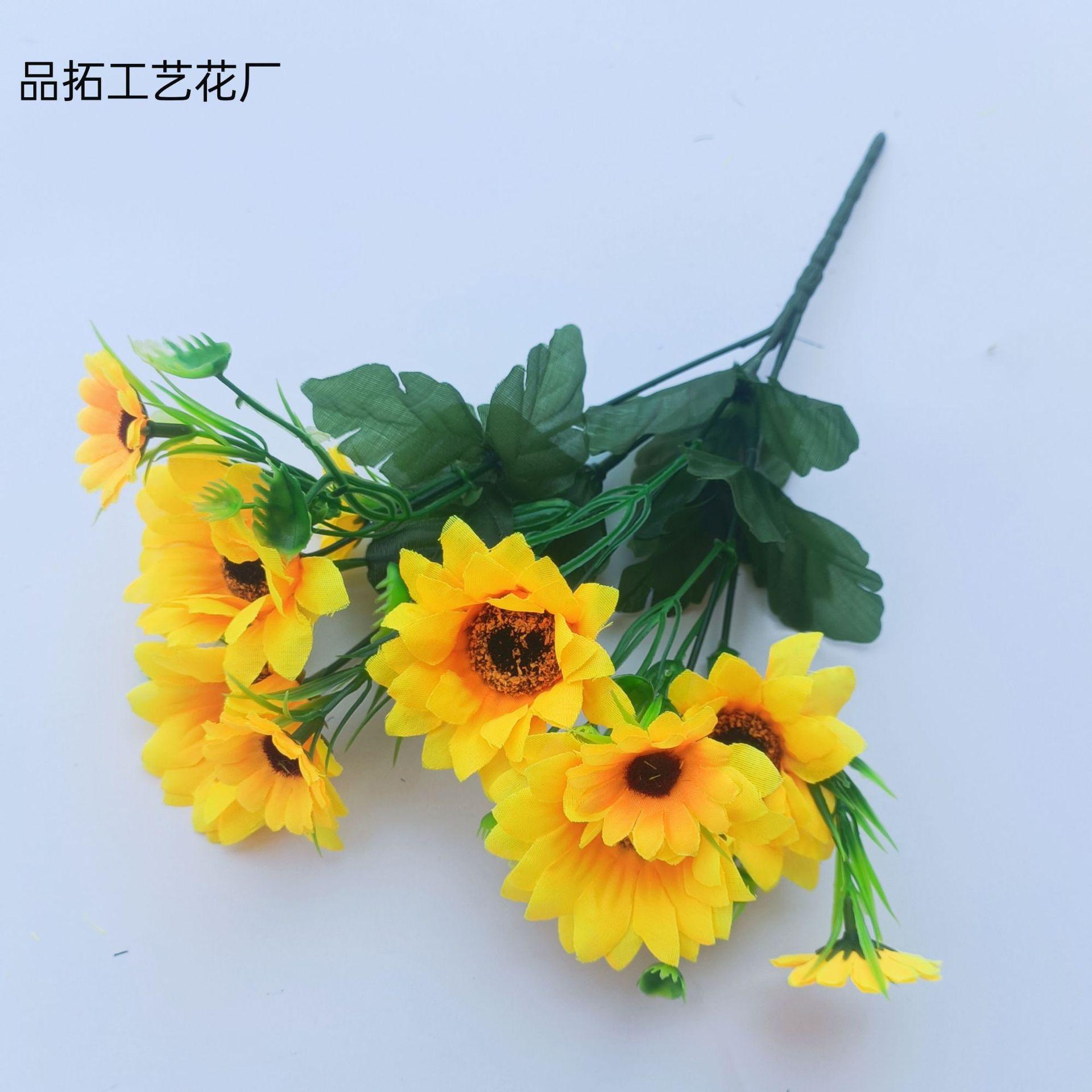 c5a504965e7fe2e59f7a72414bc3ba