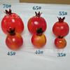 Modelo de fruta de simulação ramo de romã decoração acessórios de romã