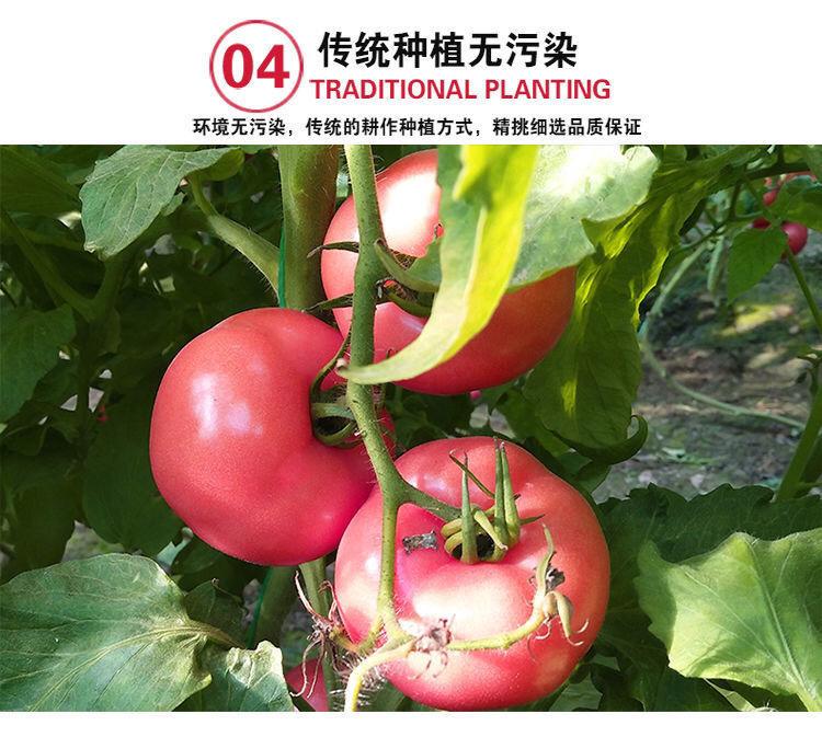 1aabea96-3169-4dd2-9cca-00b4486cc730.jpe