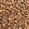 Sementes de Sândalo Aromáticas Especiaria, Tempero de Sândalo Yangchun a Granel, Atacado 500g, Secos de Grau Alimentício Comercial, Caixa Fechada 0,5kg para Venda em Barraca