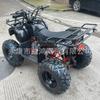 ATV 125cc Motocicleta de Praia Motocicleta de Quatro Rodas Pneu 8 polegadas Tambor Dianteiro Freio a Disco Traseiro Motocicleta a Gasolina