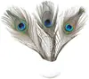 Venta Directa de Fábrica de Plumas de Pavo Real, Plumas de Cola de Pavo Real, Plumones de Pavo Real, Plumas de Ojo de Pavo Real, Accesorios DIY, Ropa